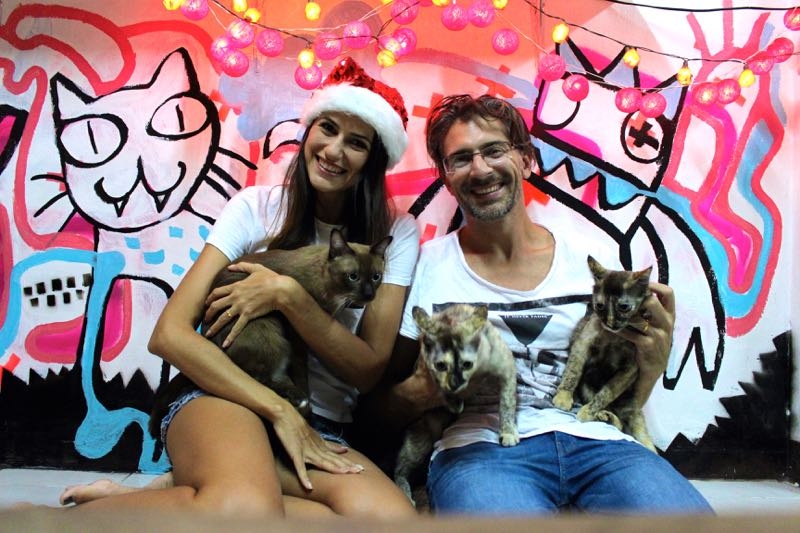 house sitting holidays