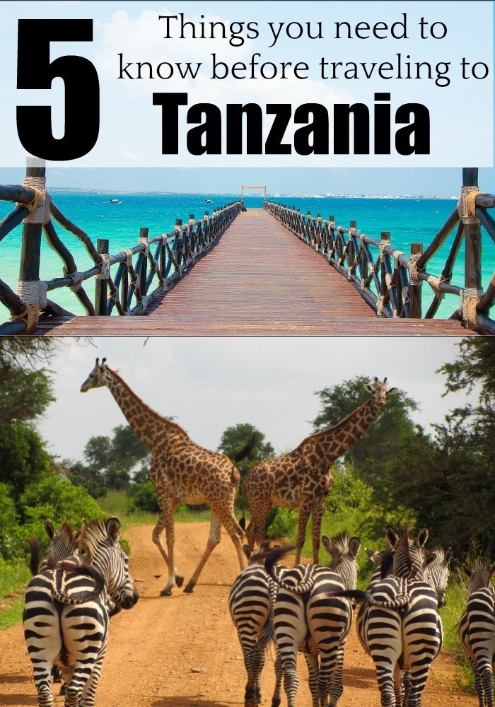 Planning or dreaming of traveling to Tanzania? Then read these 5 important tips to travel to Tanzania and enjoy this stunning country in Africa. Discover when to travel to Tanzania, where to go, how to get your visa e much more. #Tanzania #TanzaniaTravel #Kilimanjaro #Zanzibar