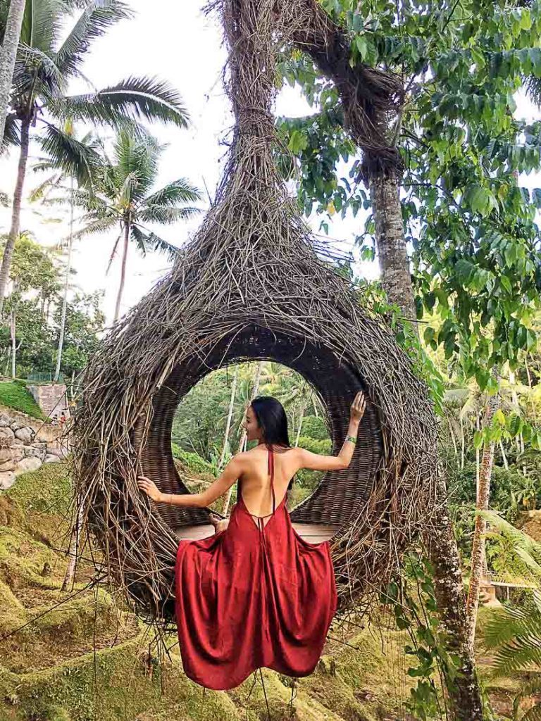 You will human-sized birds nests littered throughout Ubud.