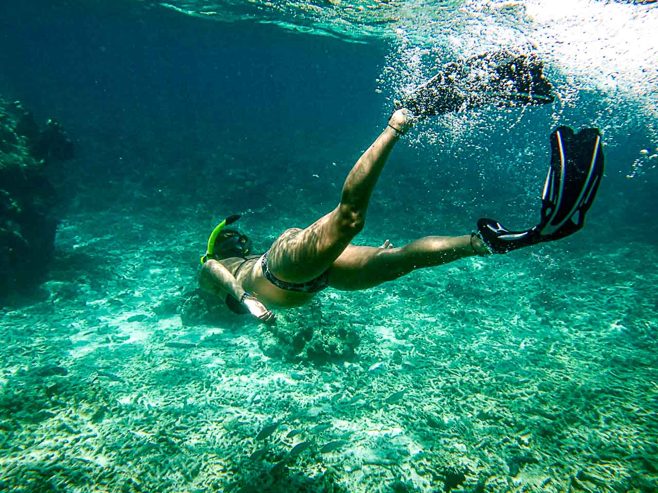 Snorkeling in Koh Tao is a must do. Go for the boat tours around the island.